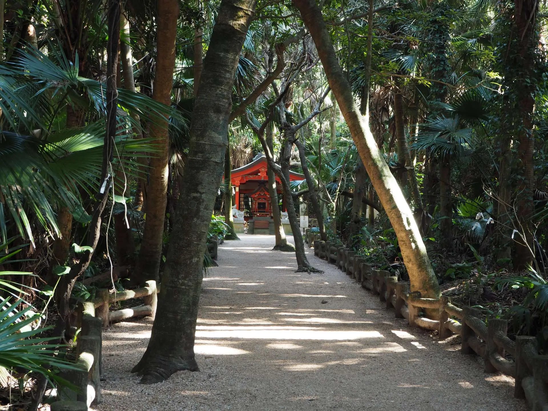 ⛩️ 아오시마 신사 (아오시마 진자) 이미지 6